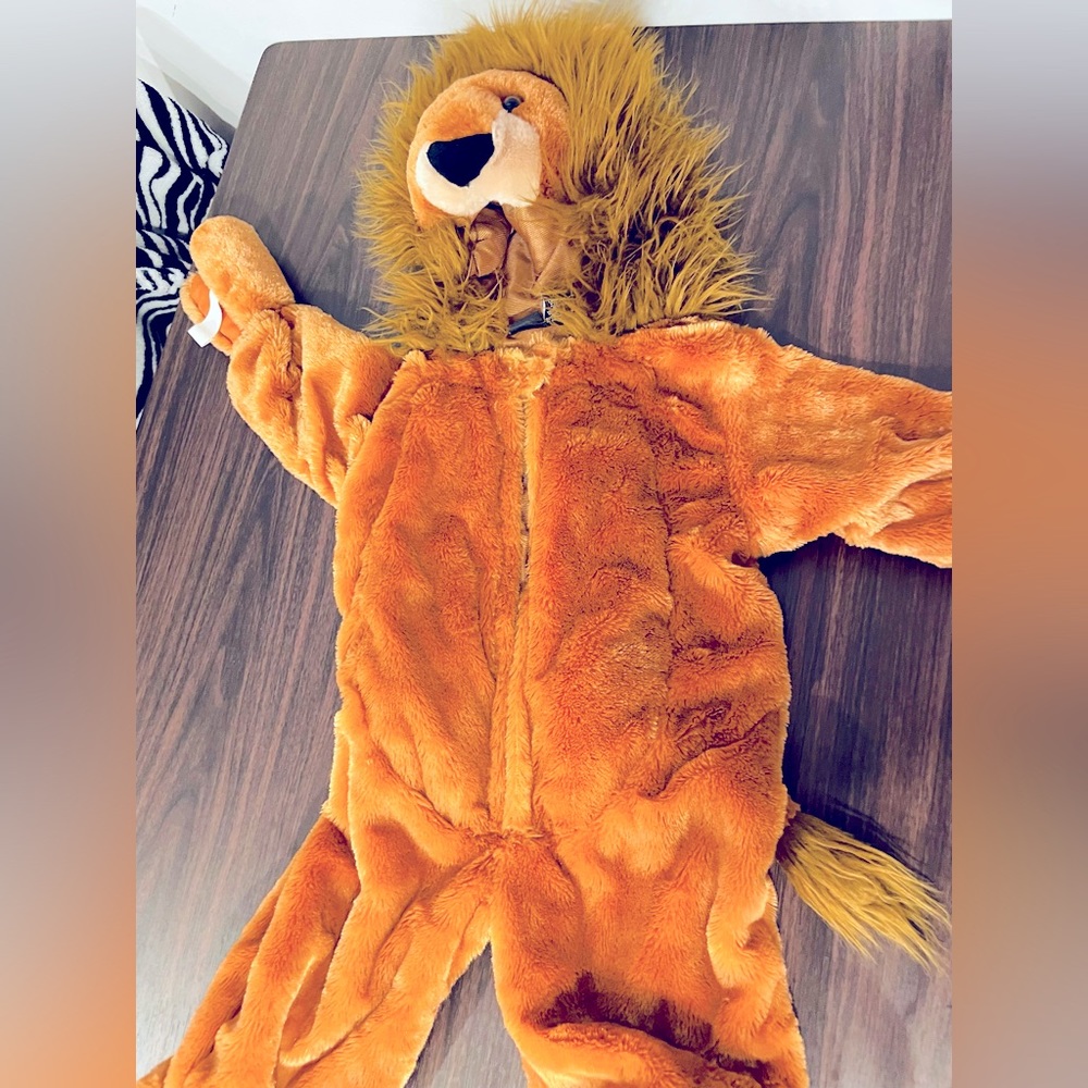 Authentic Kids Baby Lion Costume for Halloween, Pretend Play, 12m (up to 20 lbs)
